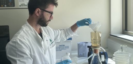 Leone working in the tree health lab