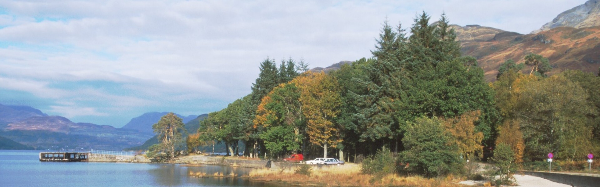 forestry tree species database
