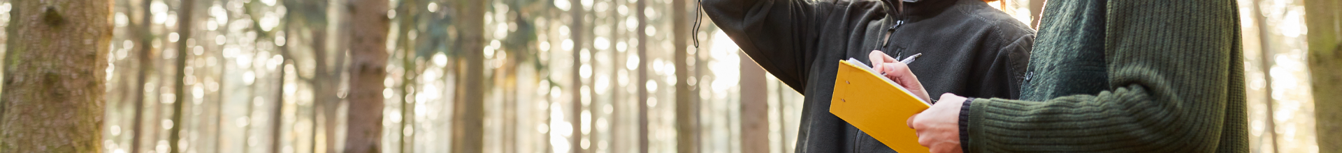 Forestry Banner Partnership and Collaboration
