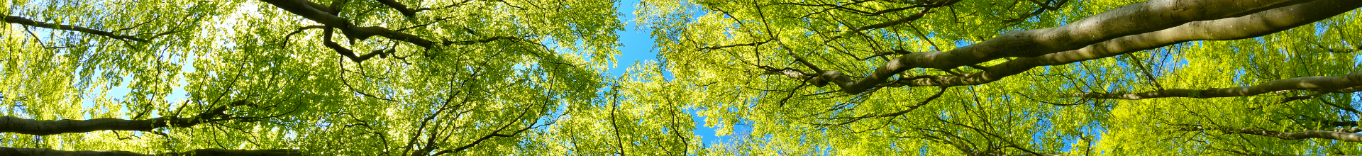 Forestry Banner Land Use and Ecosystem Service Research Services