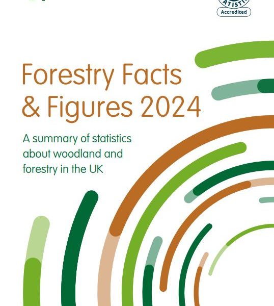 Cover of the publication "Forestry Facts and Figures 2024".