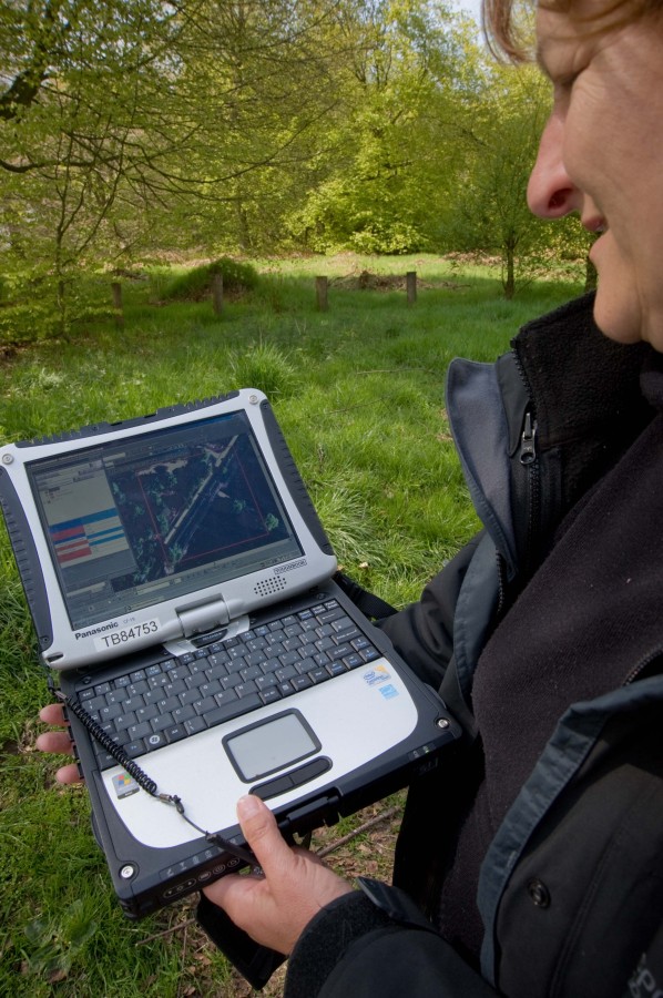 Person looking at computer in forest setting