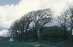 2004747big.jpg