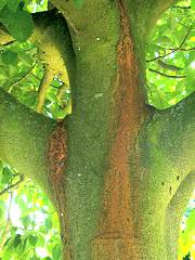 hcbc_020.jpg