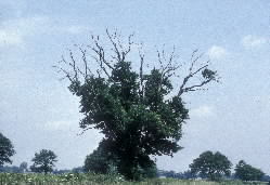 39208big.jpg