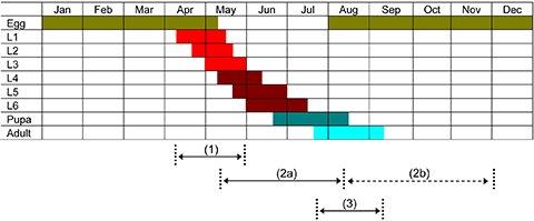 OPM-life-cycle-chart.jpg