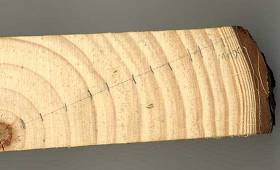 rbnb_main05.width-500.jpg