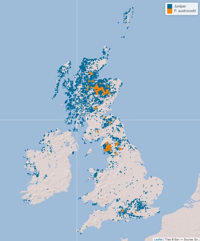 Distribution_map_revised_211120.jpeg
