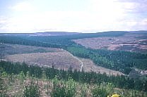 assl_38812.jpg
