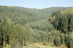 1009144big.jpg