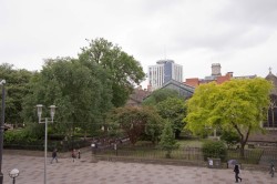 Cardiff city landscape with urban trees