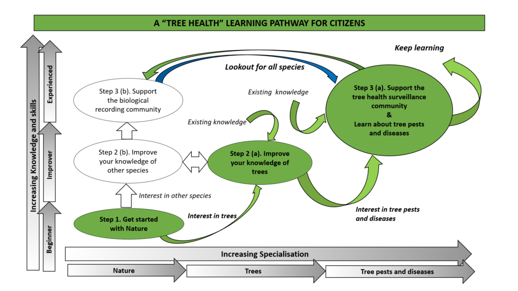 Diagram showing the Tree Health Learning Pathway