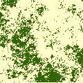 fhns_nlm_low.gif