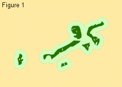 leco_principles_fig1.gif
