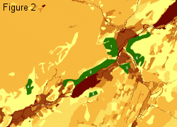 leco_principles_fig2.gif