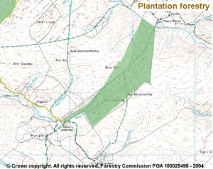 fhns_wplantation
