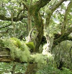 eunw_photo01.jpg