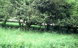 eunw_photo05.jpg