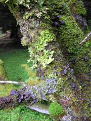 eunw_photo06.jpg