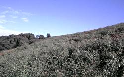 eunw_photo09.jpg
