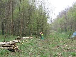 oandn_photo04.jpg