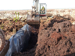 peat.jpg