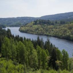 Climate-ready forestry at Queen Elizabeth Forest Park