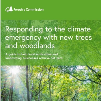 Responding to the climate emergency with new trees and woodlands  