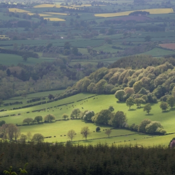 Climate change and biodiversity 
