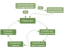5-Step Adaptation Framework