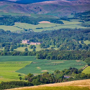 Woodland management planning at Queensberry Estate, Buccleuch