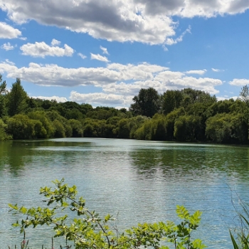 Demonstrating climate change adaptation in Alice Holt Forest