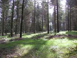 ccs_photo07.jpg