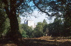 1019937big.jpg