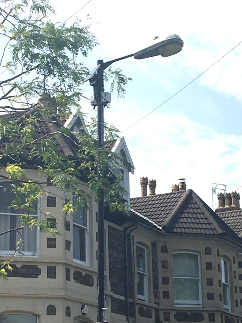 Image showing the pole-mounted sensor array used in the Bristol tree cooling experiment.