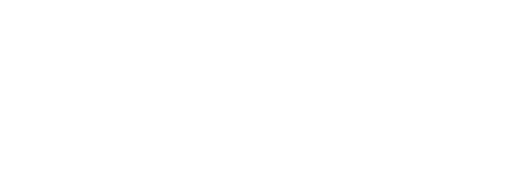 Broads National Park circular dragonfly logo