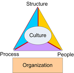 Factors such as process, people, structure and organization impacting on the company culture.