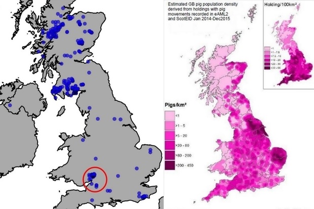 Image split in two halves. The left-hand side shows a cropped grey image of Great Britain with blue dots indicating sightings of wild boar. There is a red circle indicates the location of the Forest of Dean which includes several blue dots. The right-hand side shows another map of the UK but in hues of pink which indicates estimated pig density.