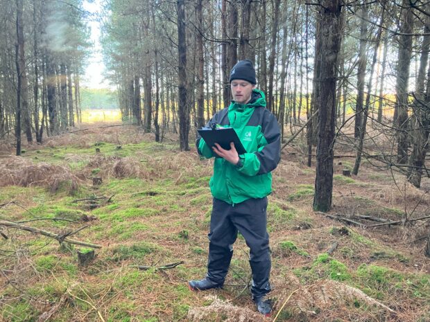 Undertaking a tariff in Thetford forest for University assignment
