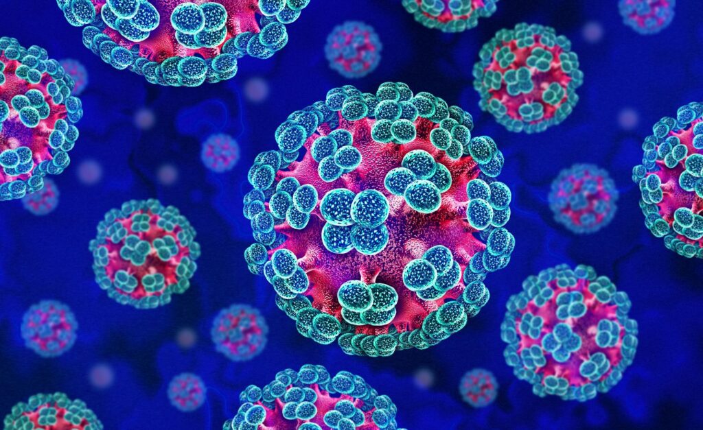 Illustration of hantavirus as it would appear under a microscope