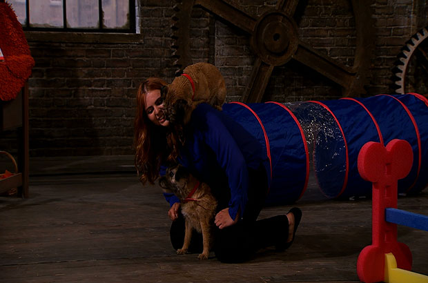 PitPatPet in the Den.
