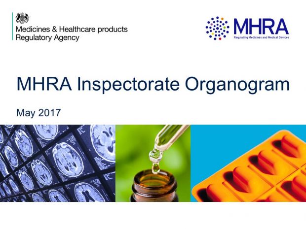 MHRA Inspectorate Organagram