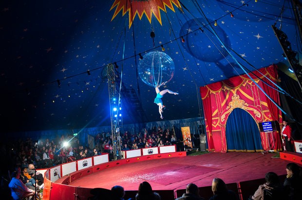 Circus Starr CIC