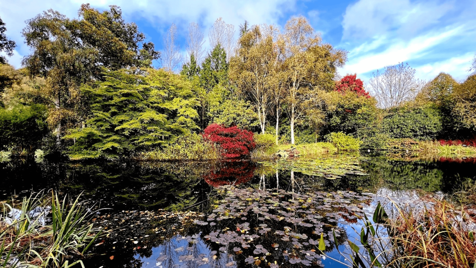 RHS Garden Rosemoor, Devon 