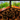 London Exibition - the power of nature