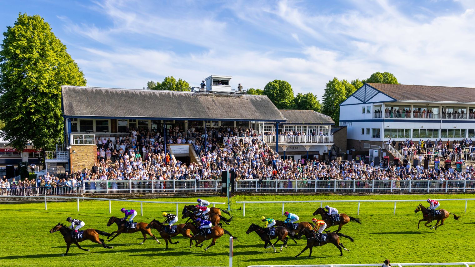 Royal windsor racecourse