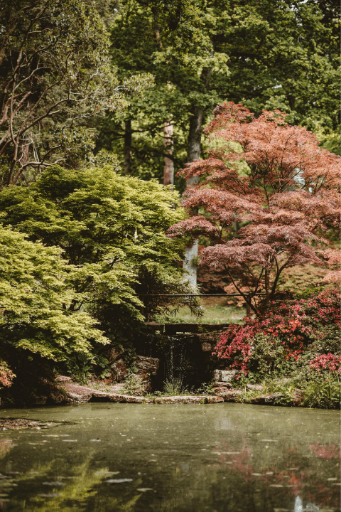 Exbury Gardens