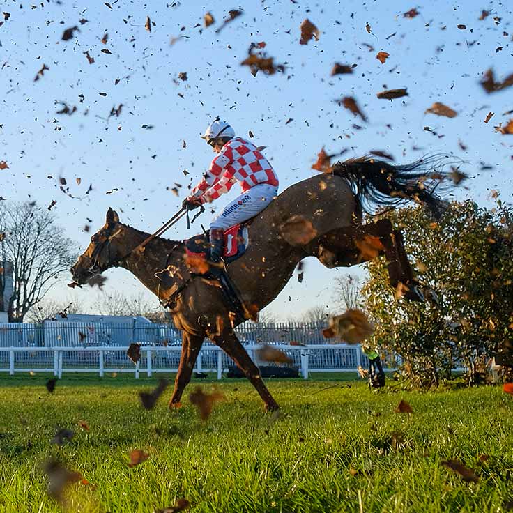 Kempton Park racecourse