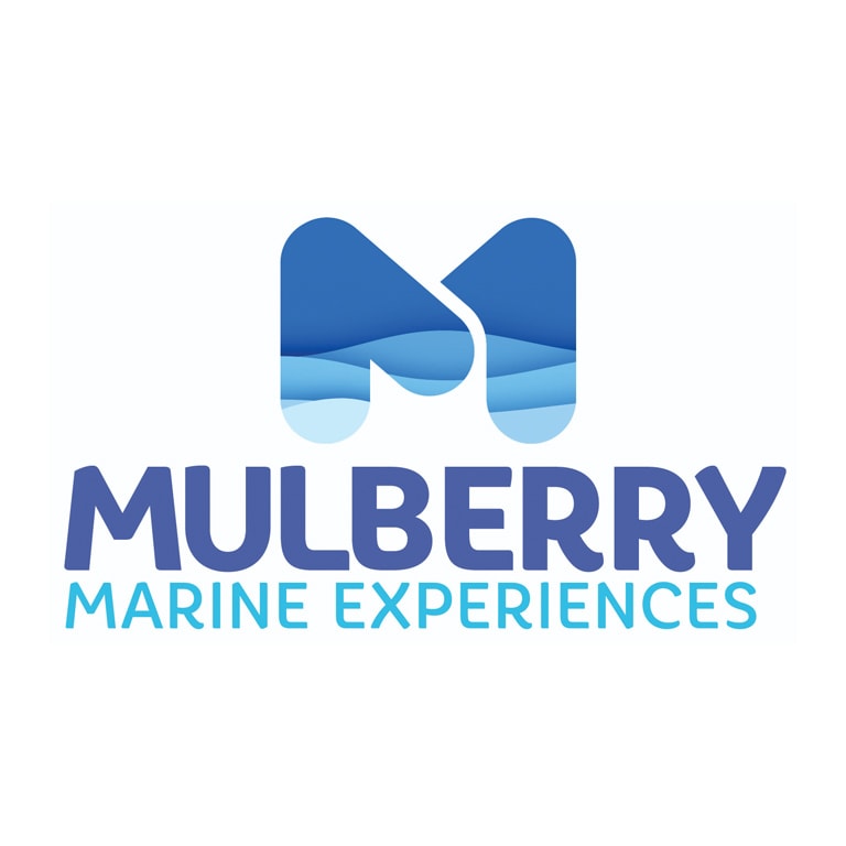 Mulberry Marine Experiences logo
