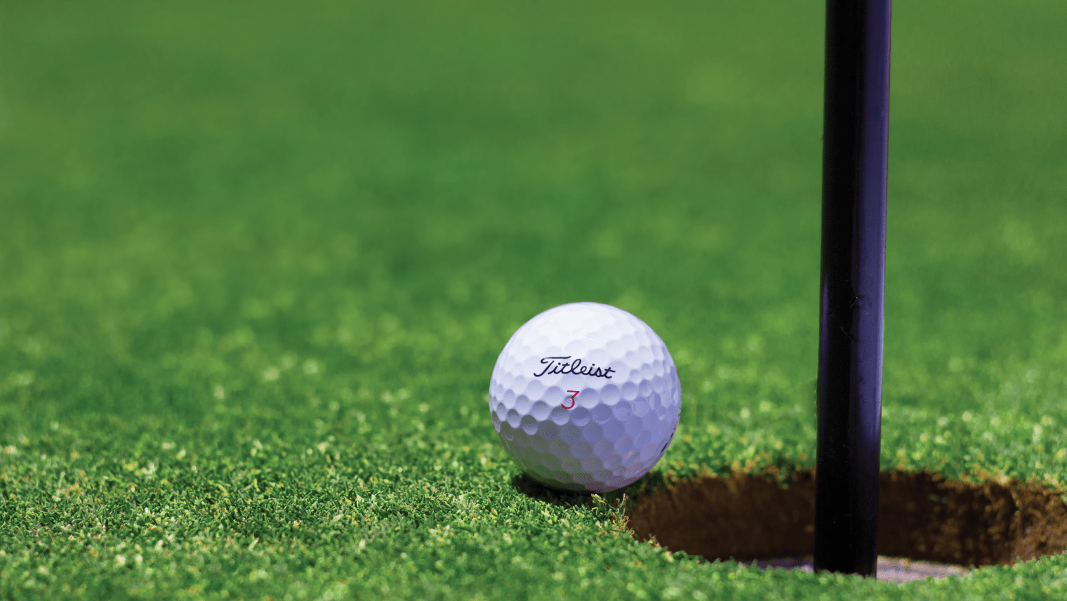 A golf ball on grass